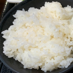 Gaburi Chicken Rice